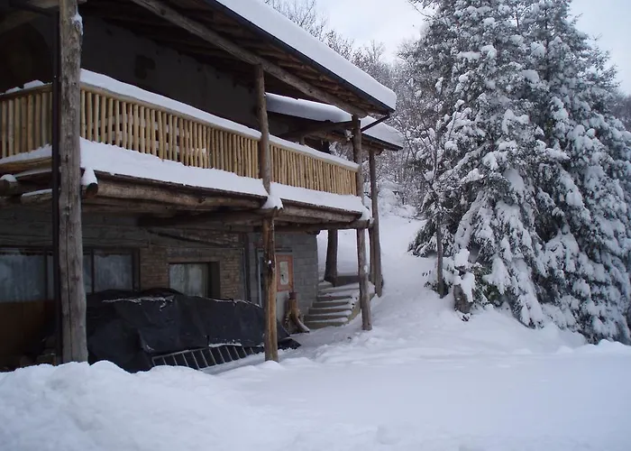 Circolo Dell'orso * Grizzana