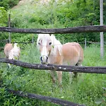 Circolo Dell'orso Alloggio per agriturismo