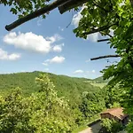 Circolo Dell'orso Grizzana