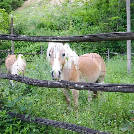 Circolo Dell'orso Alojamento de Turismo Rural