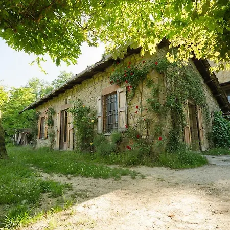 Circolo Dell'orso * Grizzana