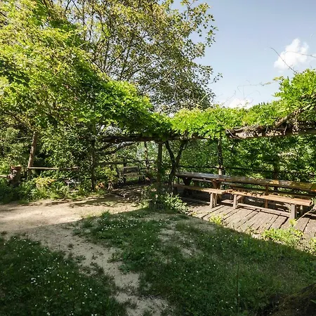 Circolo Dell'orso Grizzana