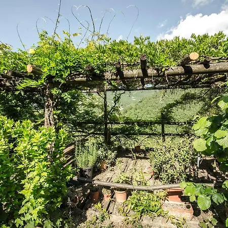 Circolo Dell'orso Alojamento de Turismo Rural *