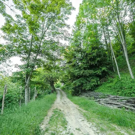 Circolo Dell'orso Grizzana