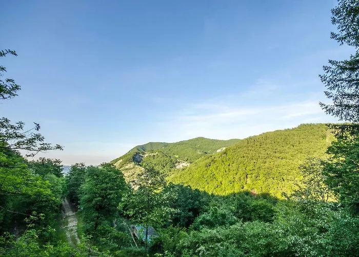 Circolo Dell'orso * Grizzana