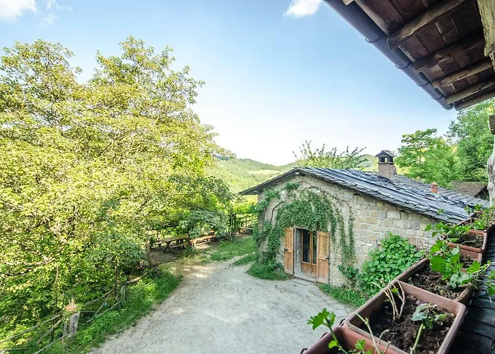 Circolo Dell'orso Farm stay