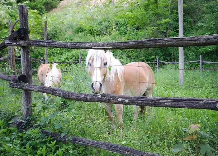 Circolo Dell'orso Farm stay