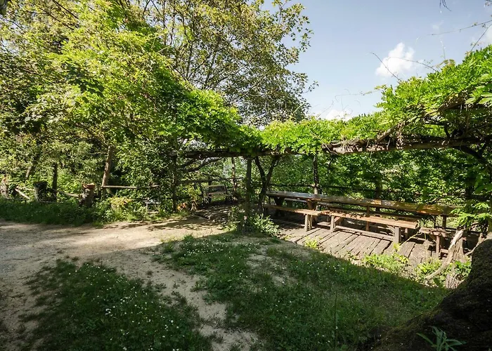 Circolo Dell'orso Grizzana