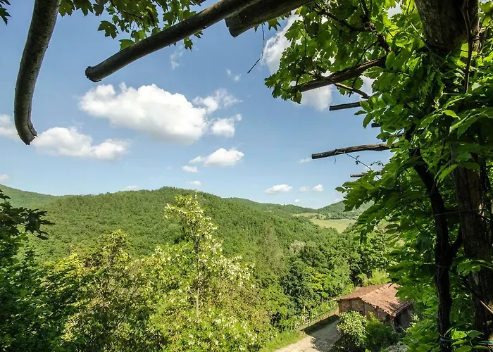 Circolo Dell'orso Grizzana