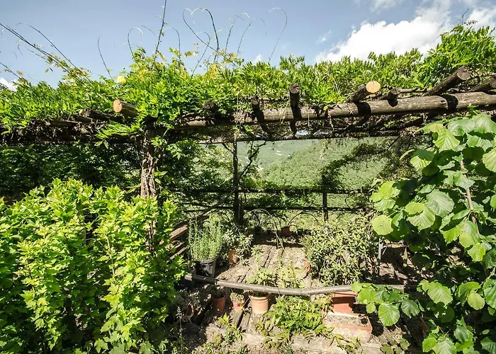 Circolo Dell'orso Alloggio per agriturismo *