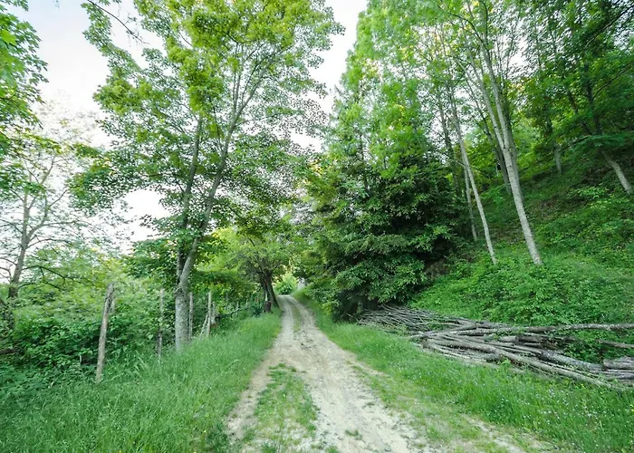 Circolo Dell'orso Grizzana